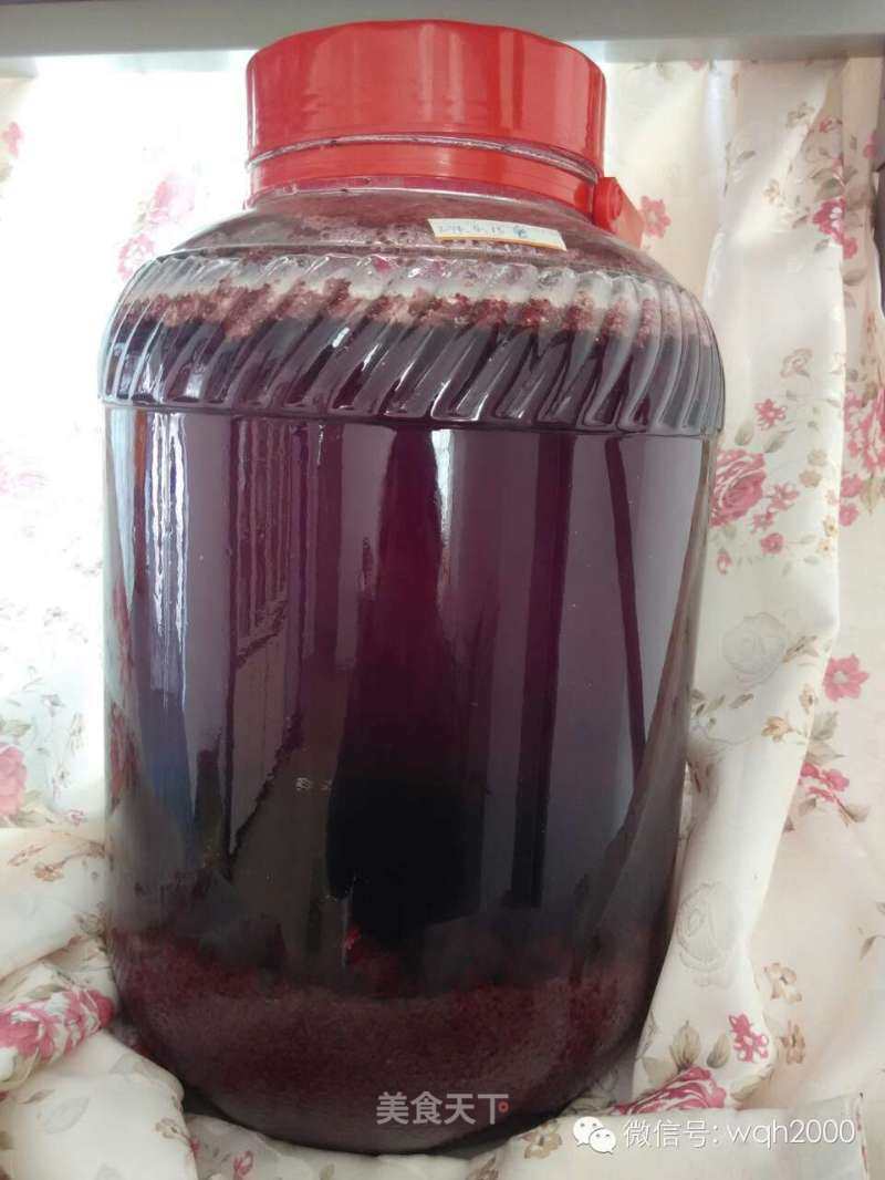 Mulberry Enzyme Juice for Women's Detoxification and Beauty recipe