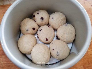 Yogurt Cranberry Bread recipe