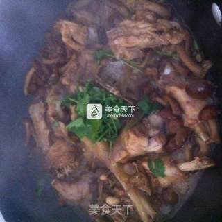 Chicken Stew with Name Mushrooms recipe