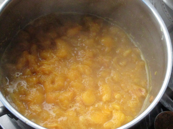 Chuanbei Loquat Cream recipe