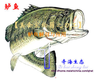 One Fish Eat More "perch Worth Tofu Soup" recipe