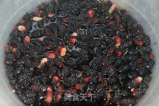 The Taste of Spring-mulberry Paste recipe