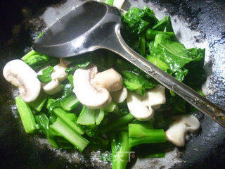 Mushroom Stir-fried Rape recipe