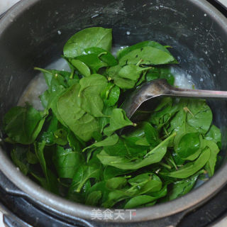 Lean Pork Congee with Wolfberry Leaves recipe