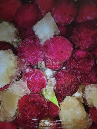 Bayberry Wine recipe
