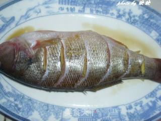 Steamed Sea Bass with Mustard recipe