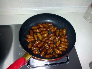 Crispy Silkworm Pupa recipe