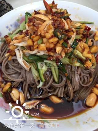 Shredded Chicken Soba recipe