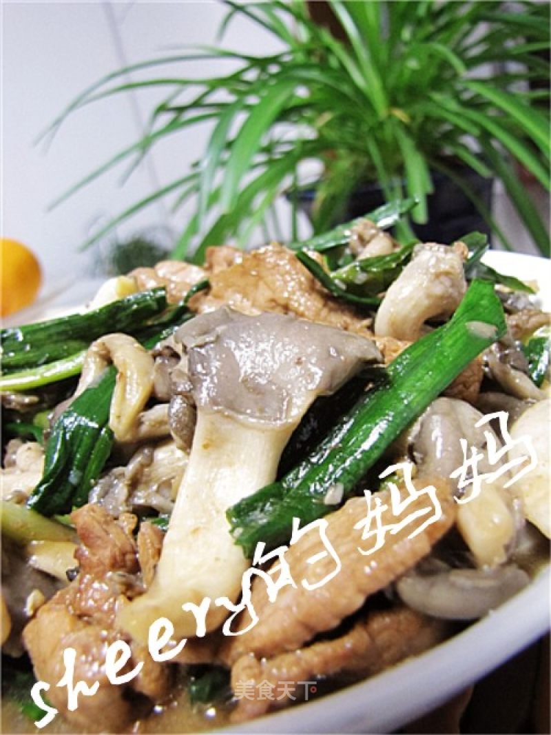 Stir-fried Pork with Garlic Shimeji Mushroom recipe