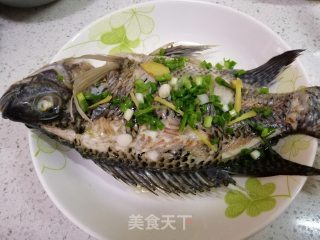 Steamed Tilapia recipe