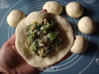Vegetable Meat Buns recipe