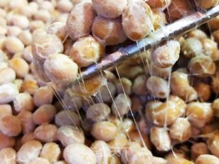 Homemade Natto recipe