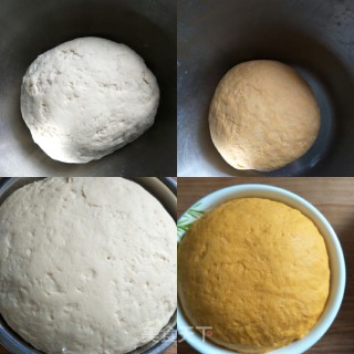 Sunflower Bean Paste Buns recipe