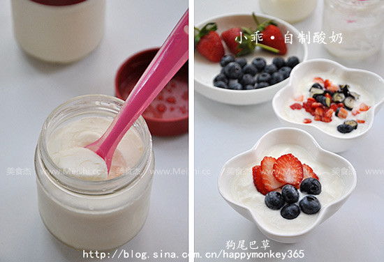 Homemade Yogurt recipe