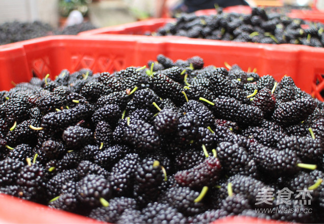 Mulberry Enzyme for Women's Beauty recipe