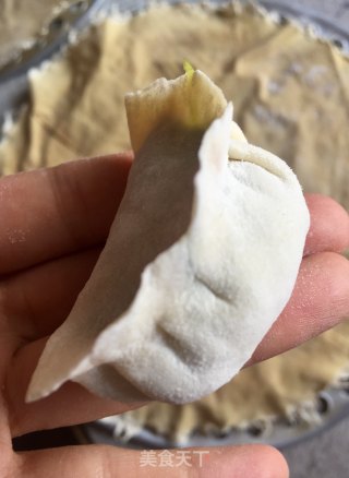 Beef Parsley Dumplings recipe