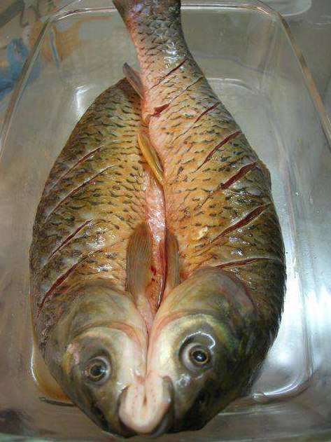 Grilled Fish on Thai-yaki Paper recipe