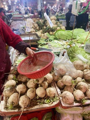 Beef Bone Stewed Radish Soup recipe