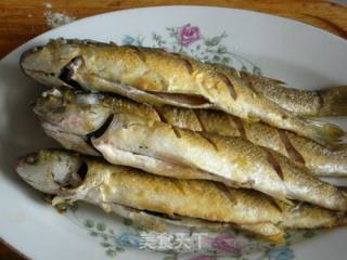 Braised Barracuda recipe