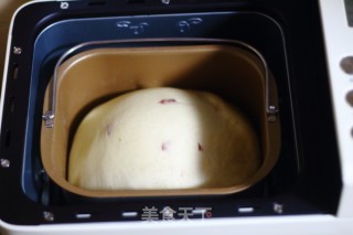 Cranberry Yogurt Bread (bread Machine Version) recipe