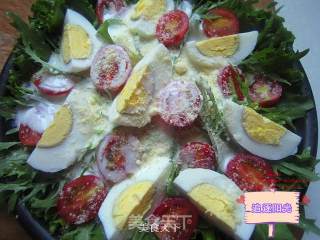 Yogurt and Vegetable Salad--reducing The Burden on Your Intestines and Stomach recipe