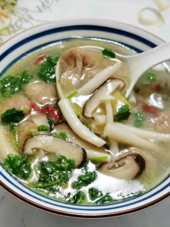 Meat and Mushroom Soup