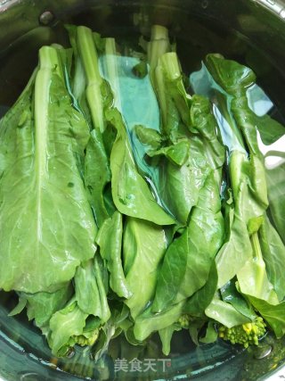 Garlic Beet Moss recipe