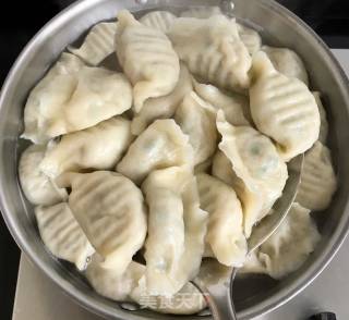 Pork Dumplings with Sea Oysters and Shredded Radish recipe