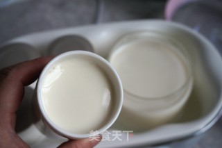 #trust of Beauty#homemade Yogurt recipe