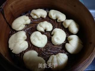 Small Shell Buns recipe