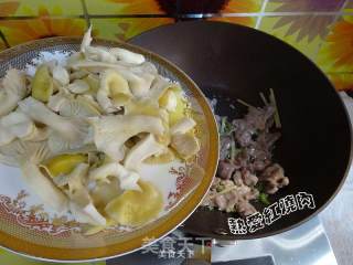 Pleurotus Chinensis in Oyster Sauce recipe