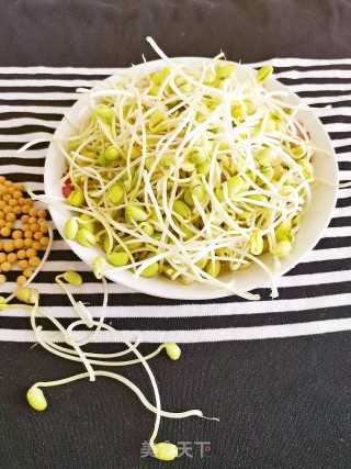 Homemade Soybean Sprouts recipe