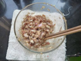 Lamb Fried Dumplings recipe