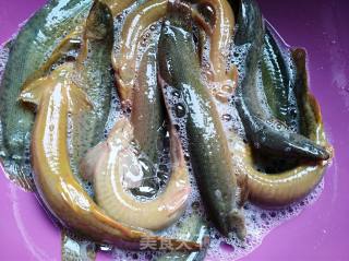 Tonic Top Grade-braised Loach recipe