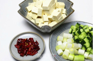 Kung Pao Tofu recipe