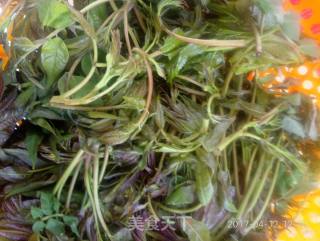 #春食野菜香# Pickled Toon recipe