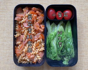 Fat-reducing Meal Lunch, Office Worker, Preparing Lunch recipe