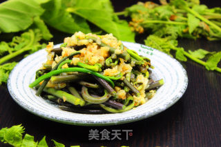 #春食野菜香# Stir-fried Bracken with Garlic recipe