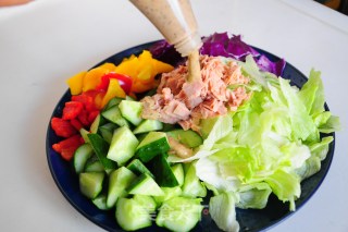 Tuna Vegetable Salad recipe