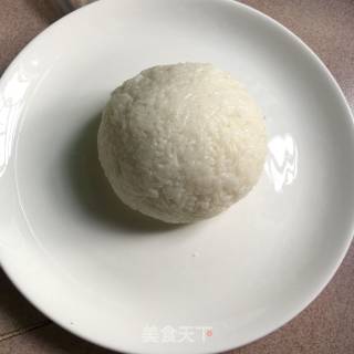 Dog Pork Floss Rice Ball recipe