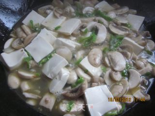 Tofu Stewed with Mushrooms recipe