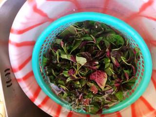 Stir-fried Amaranth with Garlic recipe