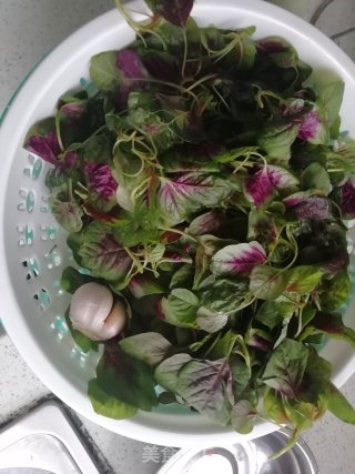 Amaranth with Garlic recipe