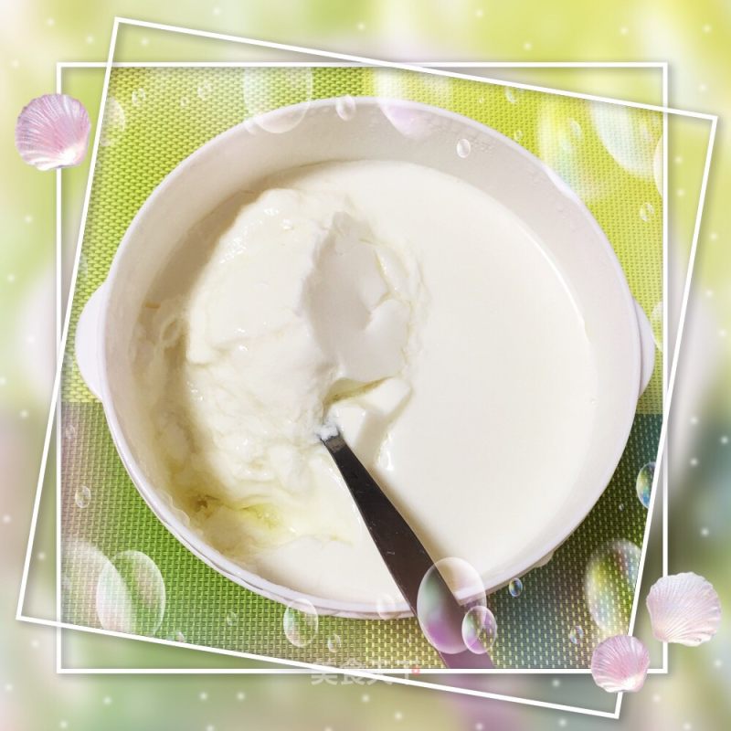 Homemade Plain Yogurt