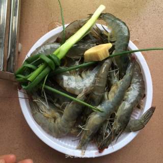 Brine Shrimp recipe