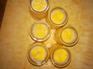 Mango Flavored Yellow Peach Pudding recipe