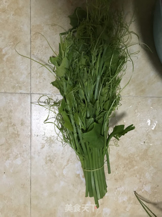 Stir-fried Pumpkin Seedlings with Garlic recipe