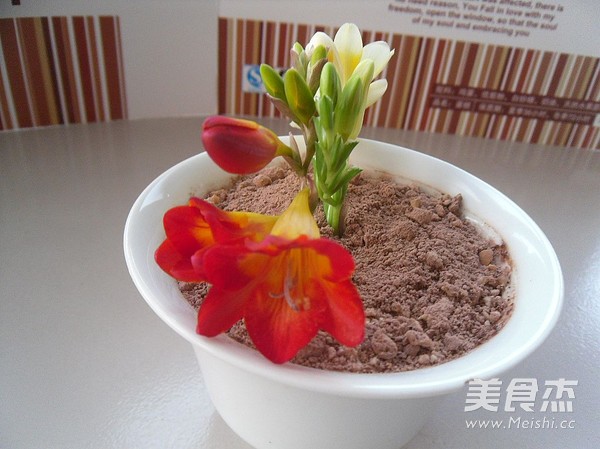 Freesia Potted Plant recipe