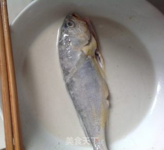 Milky Yellow Croaker recipe