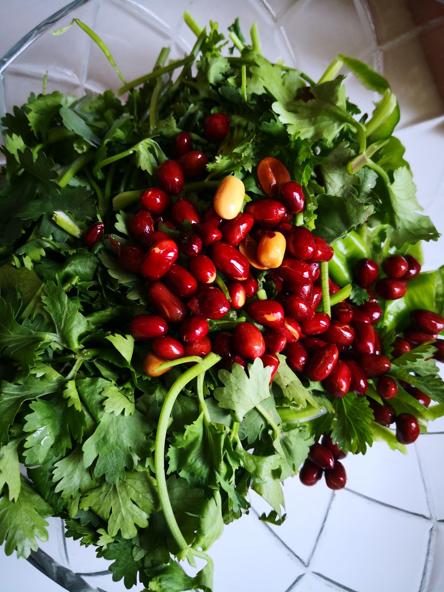 Coriander Mixed with Peanuts recipe